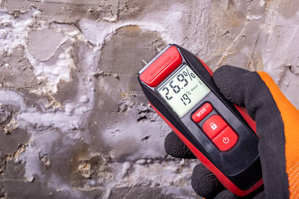 Mold Removal and Inspection in Bel Air North, MD