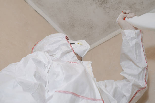 Best Mold Testing  in Bel Air North, MD